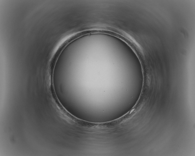 X0000112401368200908211106