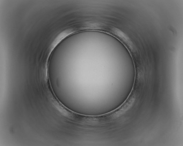X0000112401370200908211106