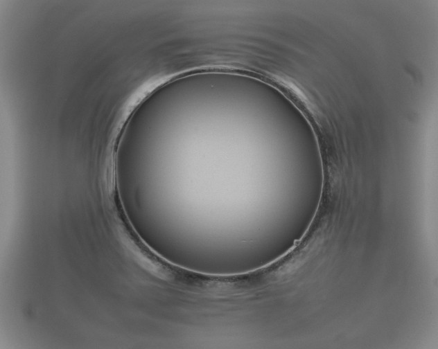X0000112401371200908211106