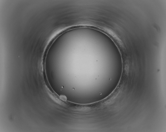 X0000112401372200908211106
