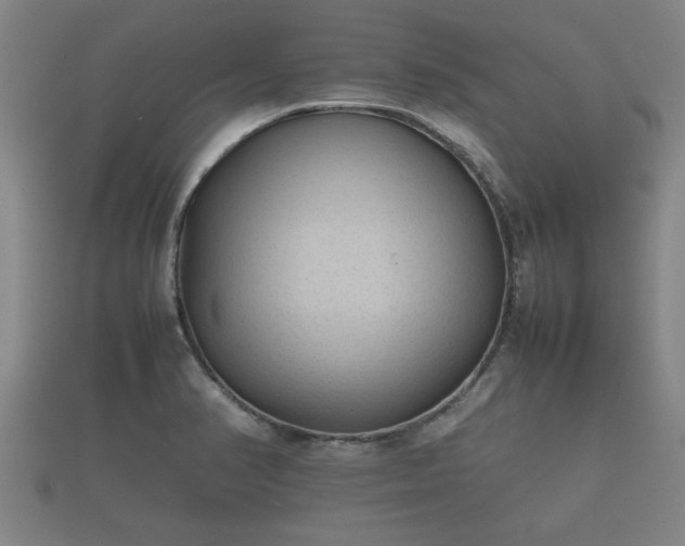X0000112401374200908211106