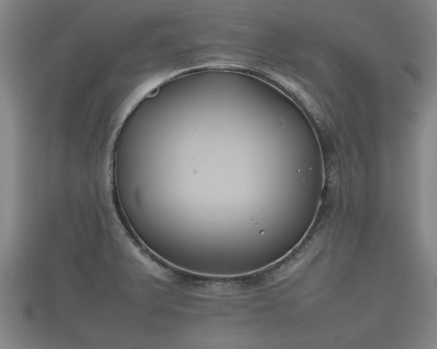 X0000112401375200908211106
