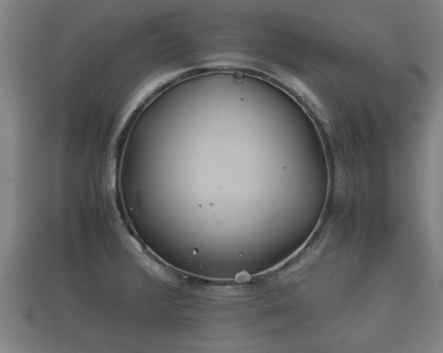 X0000112401376200908211106