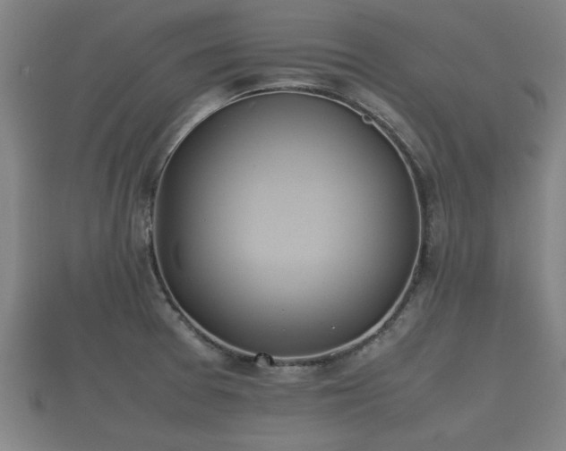 X0000112401377200908211106