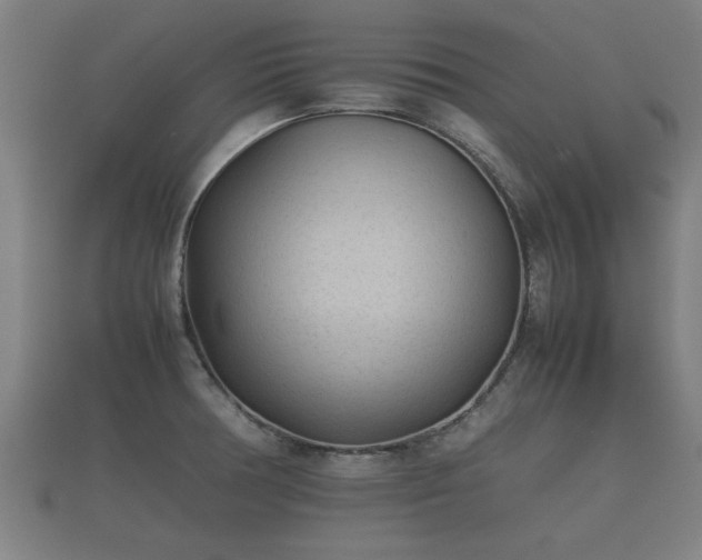 X0000112401378200908211106
