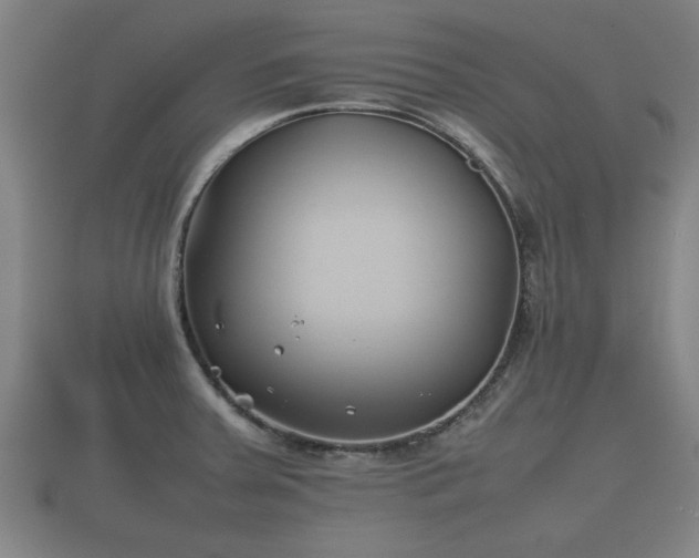 X0000112401379200908211106