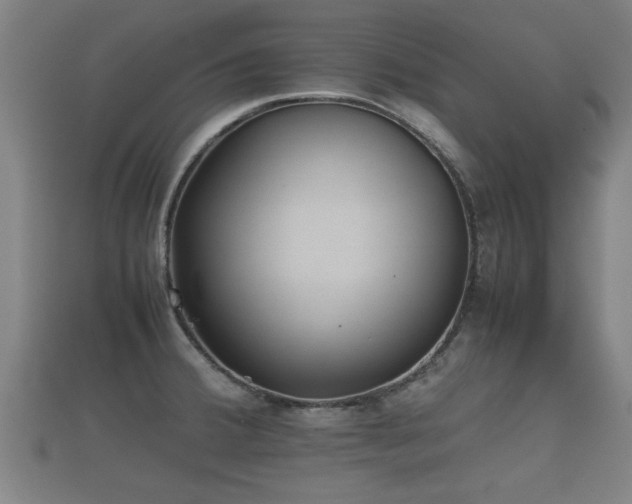X0000112401380200908211106