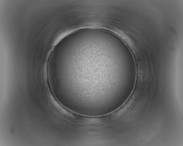 X0000112401382200908211106