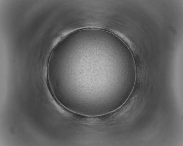 X0000112401383200908211106