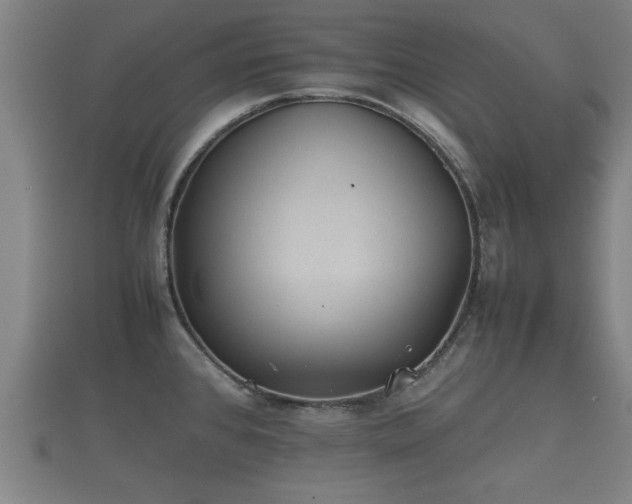 X0000112401384200908211105