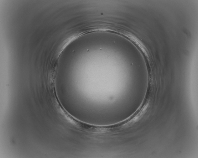 X0000112401385200908211105