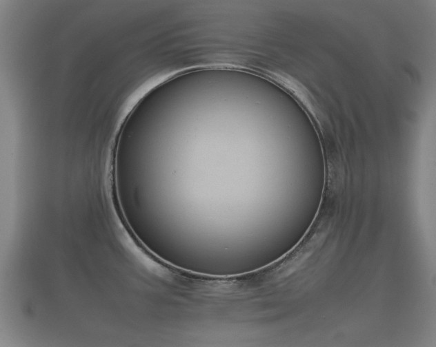 X0000112401387200908211105