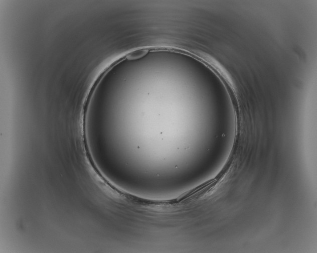 X0000112401388200908211105