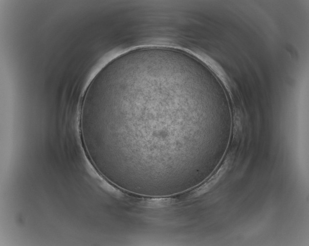 X0000112401390200908211105