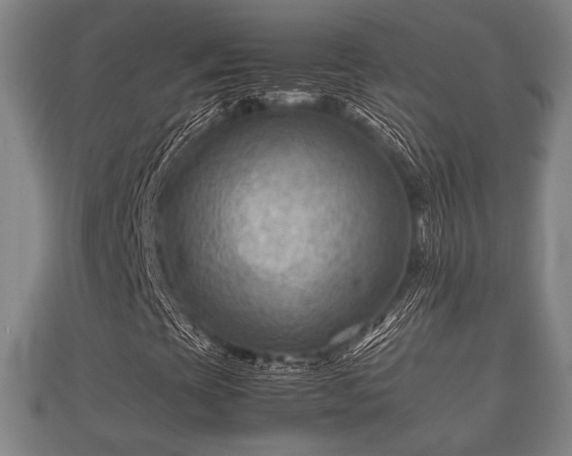 X0000112401393200908211105