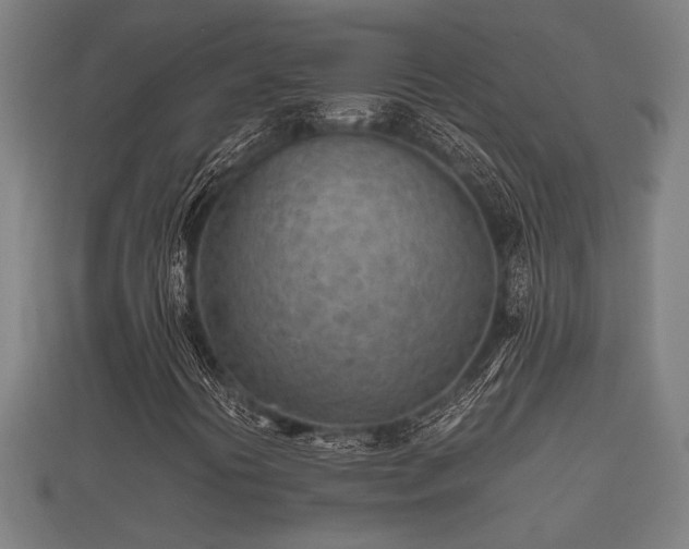 X0000112401394200908211105