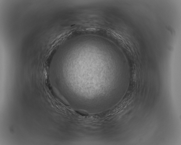 X0000112401397200908211105