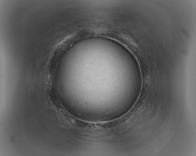 X0000112401398200908211105
