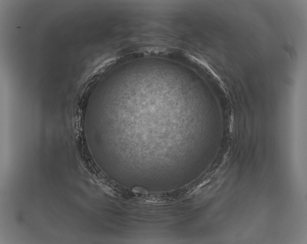X0000112401399200908211105