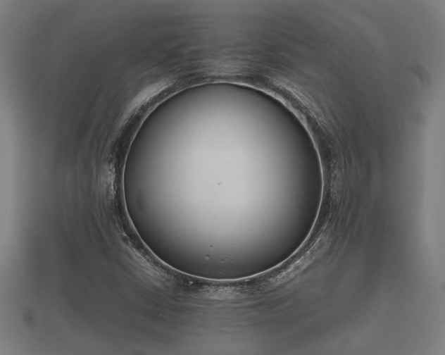 X0000112401402200908211105