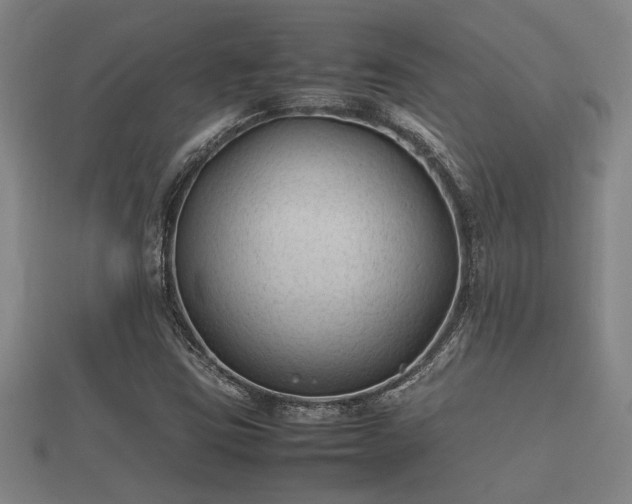 X0000112401403200908211105