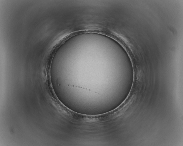 X0000112401407200908211105
