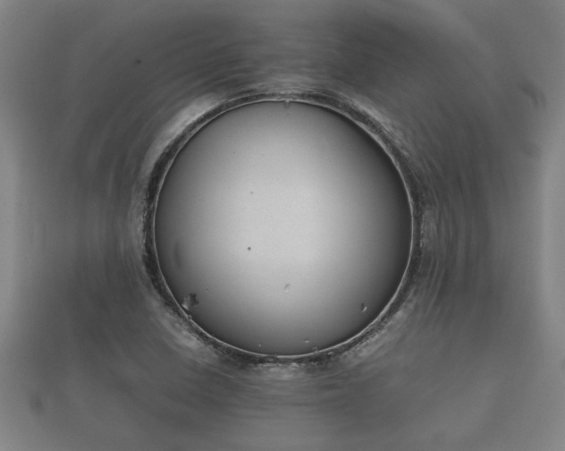 X0000112401410200908211105