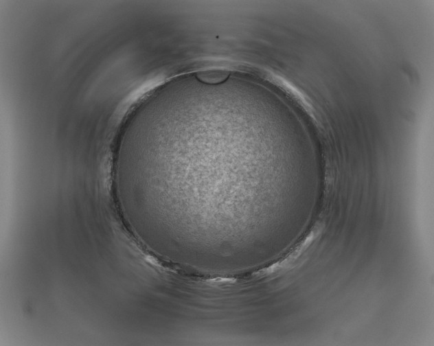X0000112401411200908211105