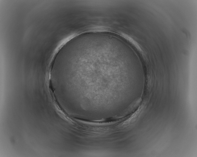 X0000112401413200908211105
