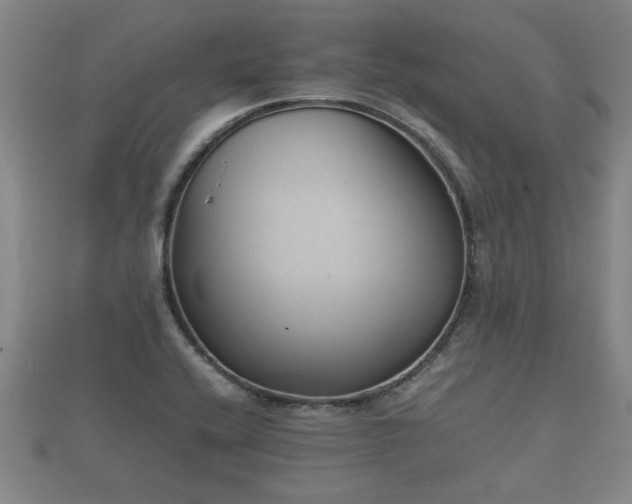 X0000112401416200908211105