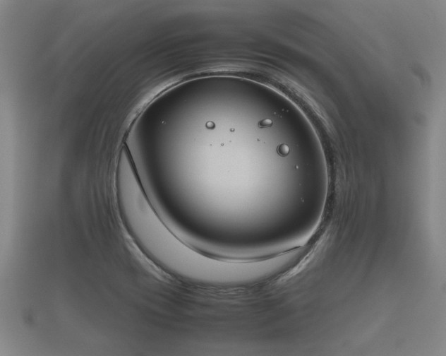 X0000112401417200908211105