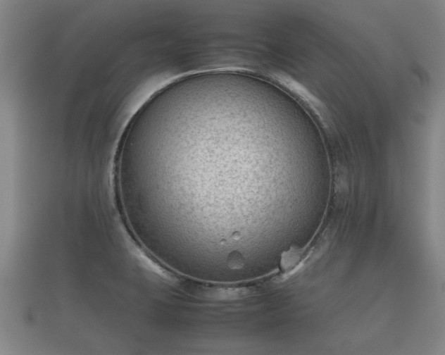 X0000112401423200908211105