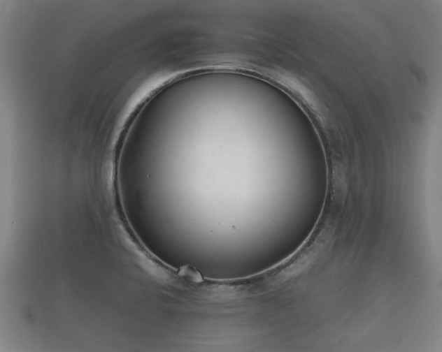 X0000112401424200908211105