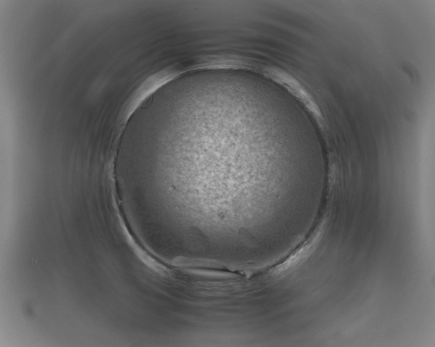 X0000112401425200908211105