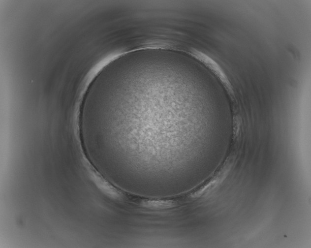 X0000112401427200908211105