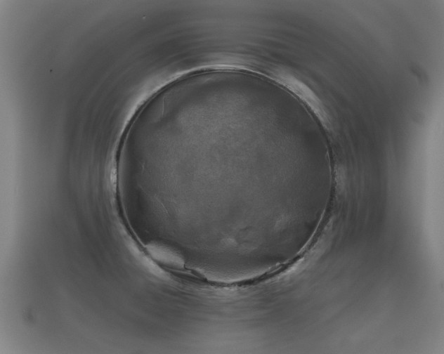 X0000112401428200908211105