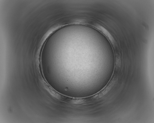 X0000112401435200908211105