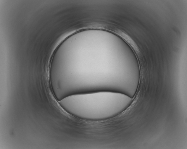 X0000112401436200908211105