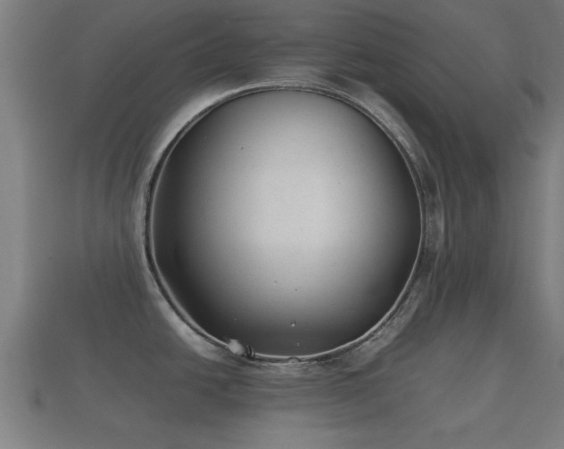 X0000112401438200908211105