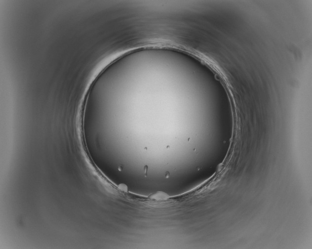 X0000112401440200908211105