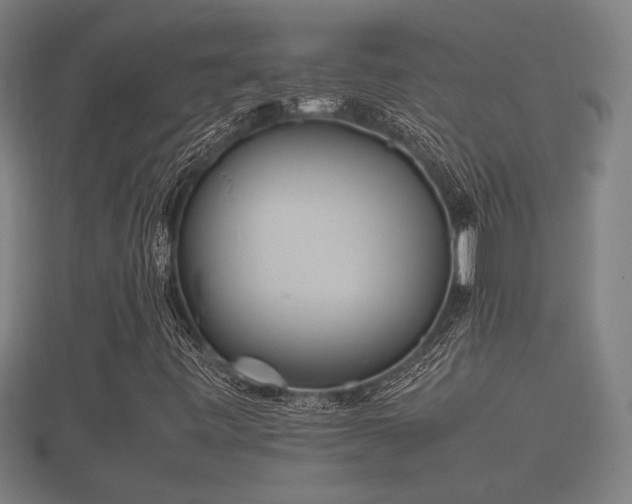 X0000112401443200908211105