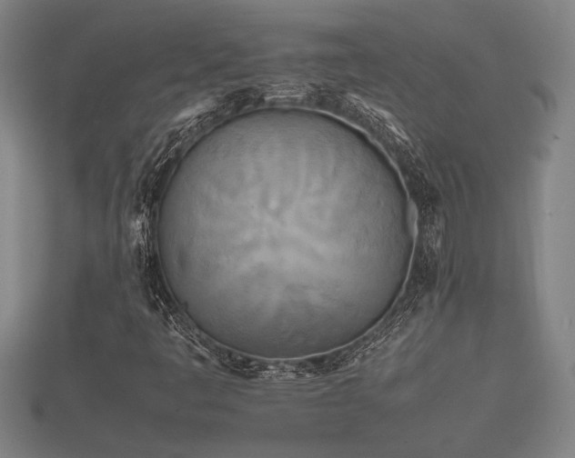 X0000112401445200908211105