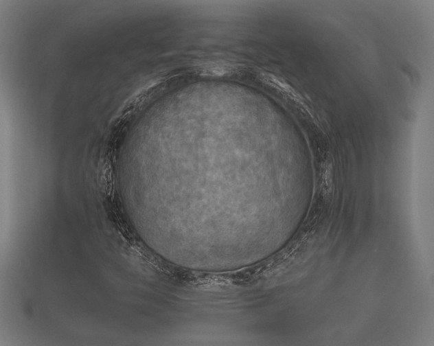 X0000112401446200908211105