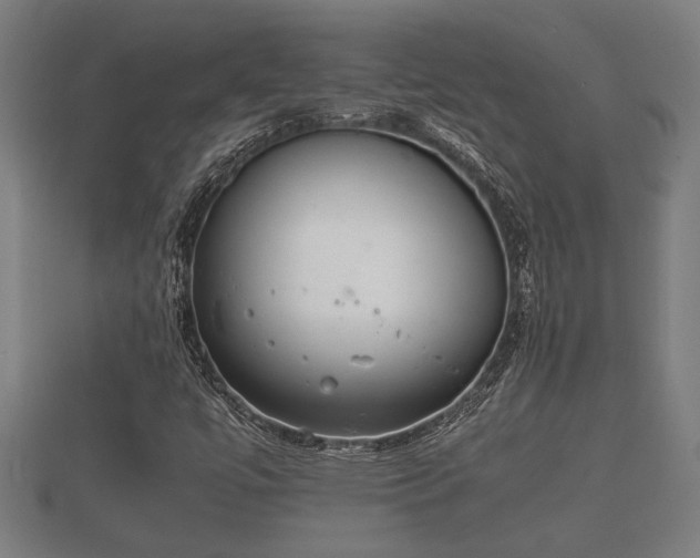X0000112401447200908211105