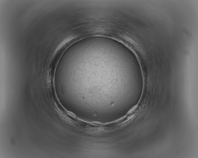 X0000112401450200908211105
