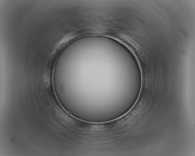 X0000112401451200908211105