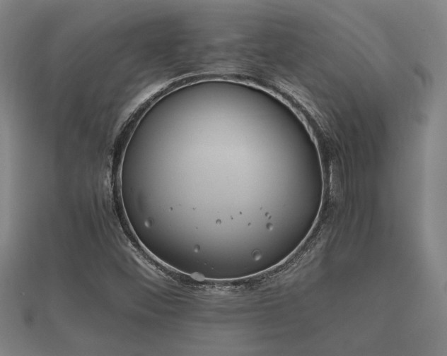X0000112401452200908211105