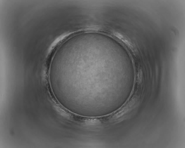 X0000112401454200908211105