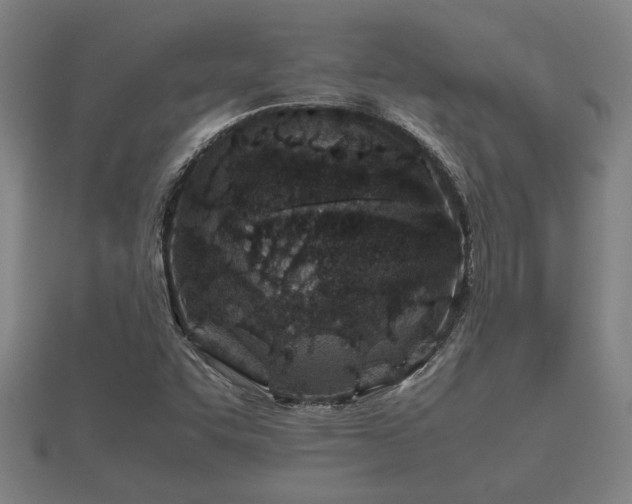 X0000112401455200908211105
