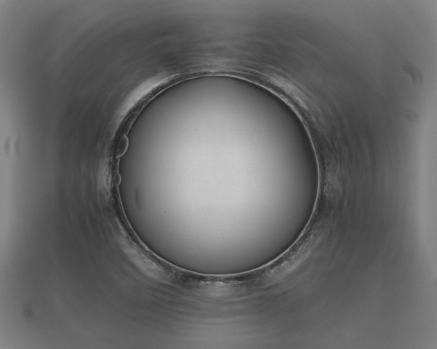 X0000112401458200908211105